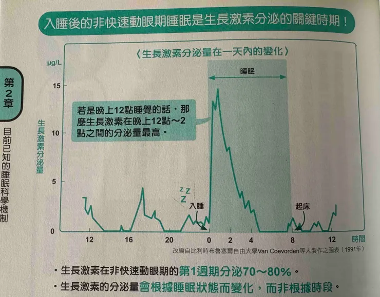 生長激素分泌圖