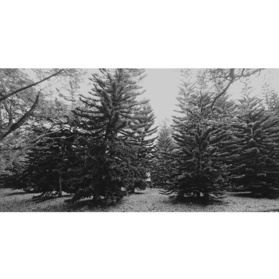 Kimi ha Alice 的沙龍