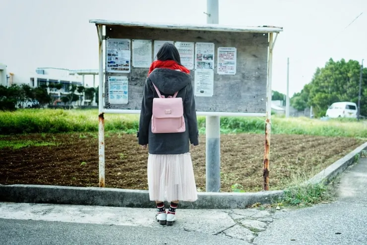 悠悠漫步、拍貓、拍景、拍人。