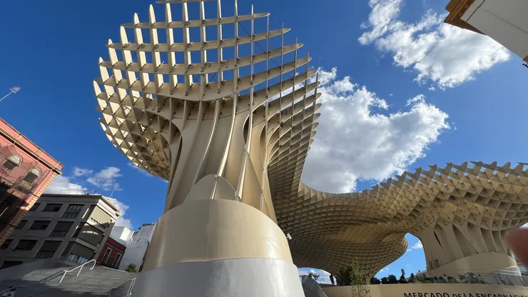 下午背光面的城市陽傘