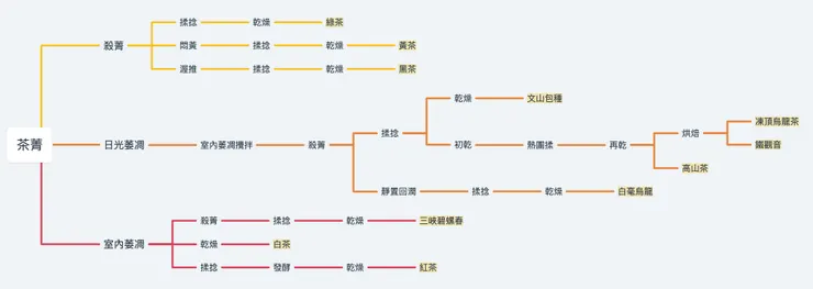 根據不同的製作流程，產出不同的茶葉-自製圖表