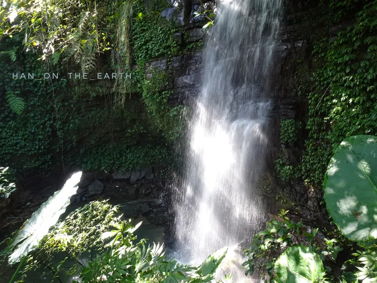 太興飛瀑步道,很輕鬆就能抵達瀑布,成就感高!