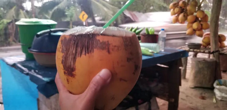 椰子和平時的顔色有點不同