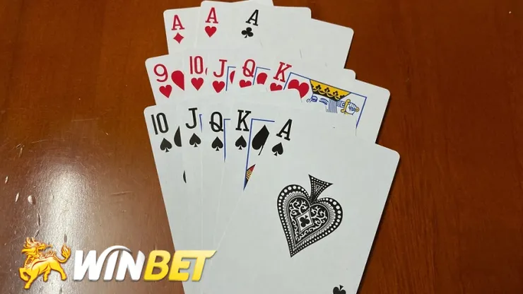 十三支｜十三支玩法