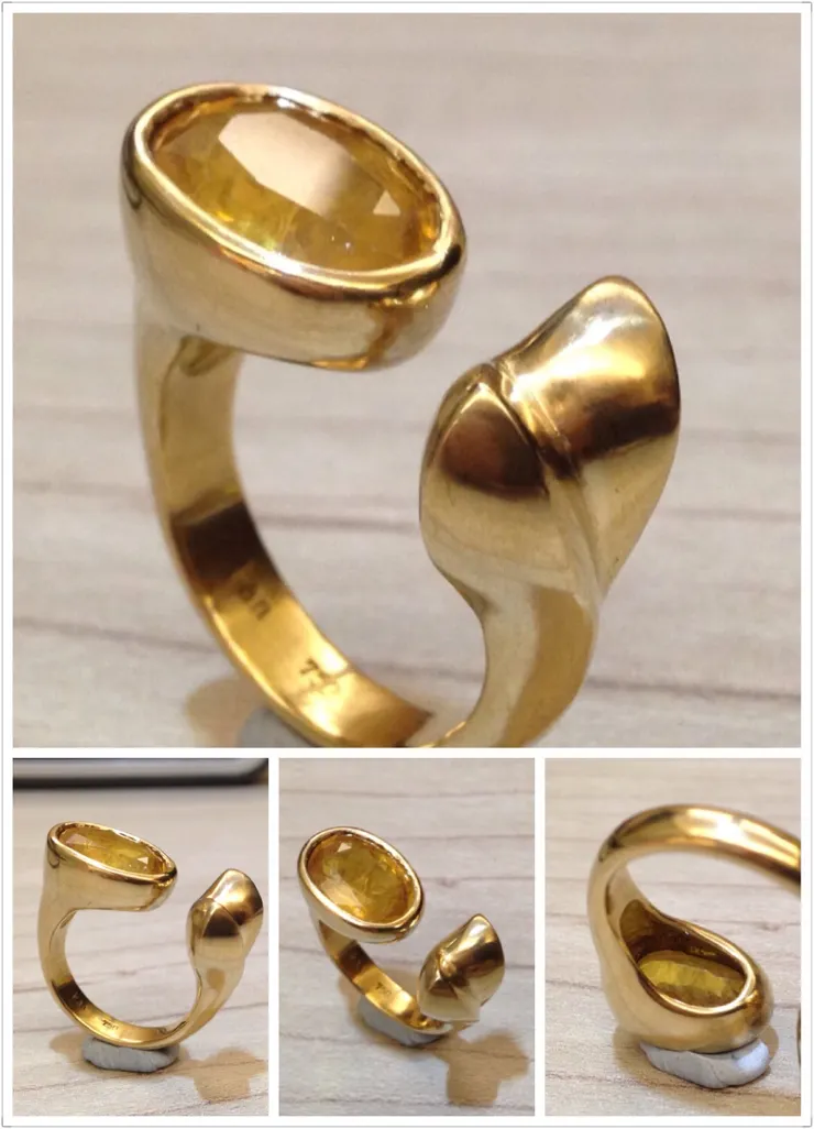 艾格尼斯挑戰成功！