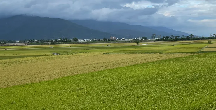 當台灣人不吃米,我們的農地就一塊塊休耕,轉作其他用途,甚至永遠失去了肥沃的土壤。