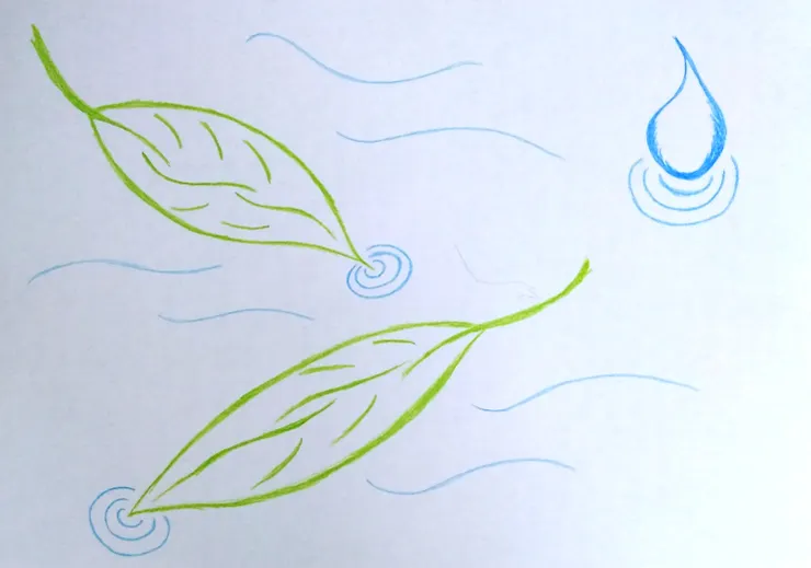 形成一樣的漣漪，彼此就產生了連結。