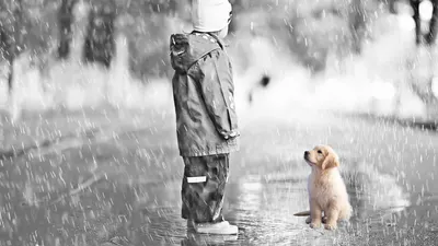  你對誰念而不忘呢？