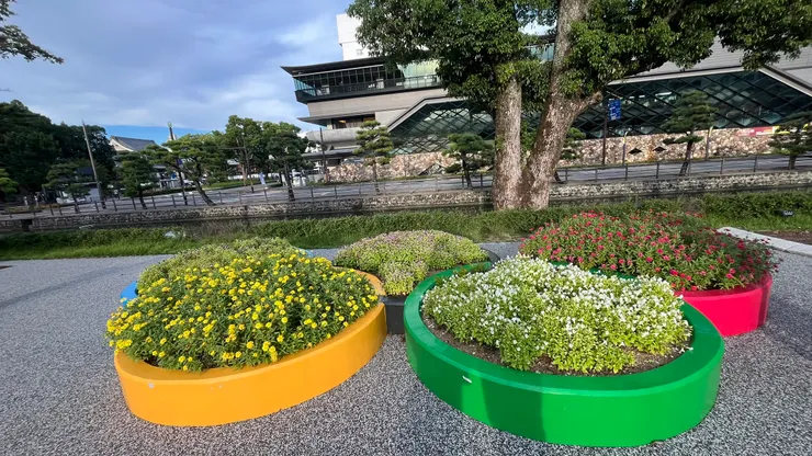 一次集齊了藍、黃、黑、綠、紅五種顏色。