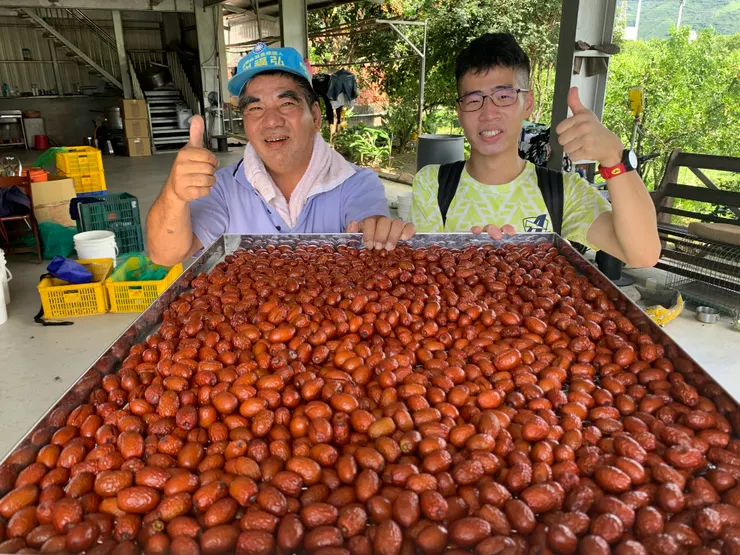 老闆堅持用傳統的日曬法製作紅棗乾