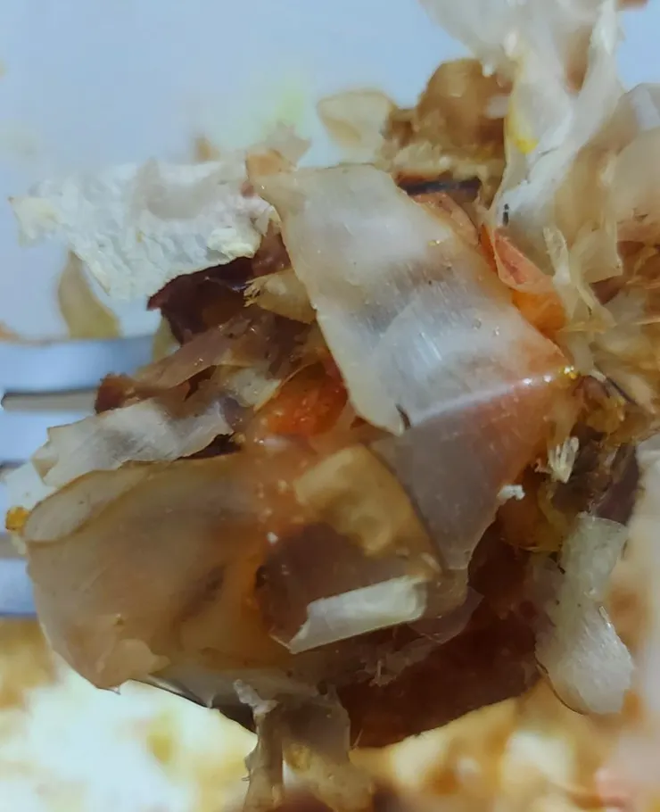 圖片來源：灰鸚鵡小灰寶貝《大饌章魚小丸子🐙》https://www.potatomedia.co/s/aIuPZ2Vf