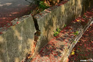 一旁矮牆為磚造