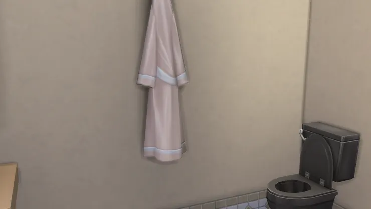 也許只是件裝飾品。有時布做的裝飾物很少人拿去洗。