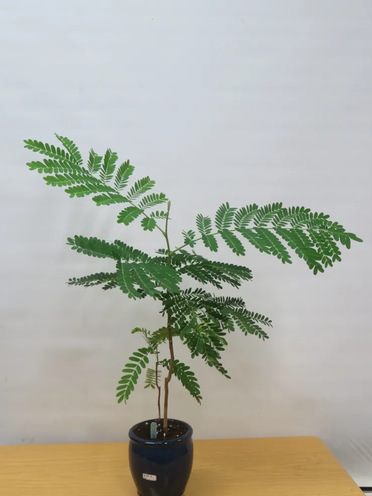 中山社大112.05.25