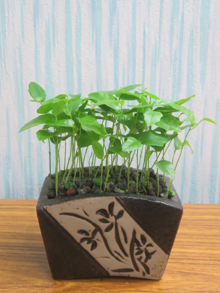 北投社大112.07.05