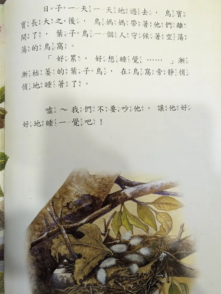 自己拍實體書4(書大字大)