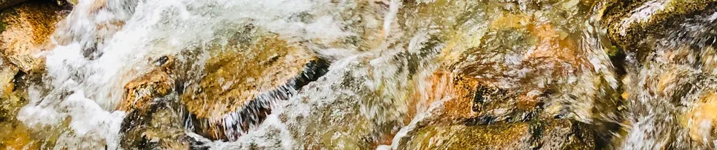 光語 Light Talk＊滋養心靈＊