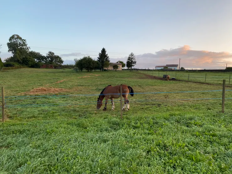 能看到路真的安心不少，感謝太陽🌅