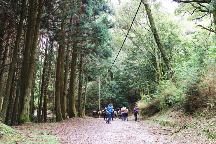 一開始要先踢2公里大鹿林道西段