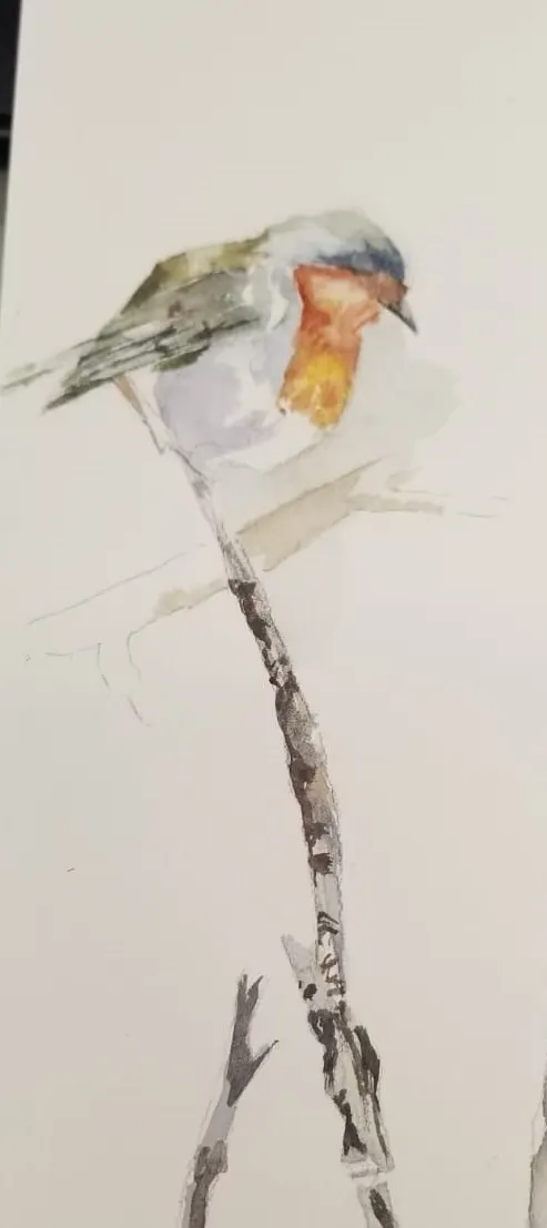 先鋪上第一層顔色,眼睛這一次不是重點,只是粗略畫,鳥的肚子本身是白色,但避免留全白,故此用了很淡的色處理。