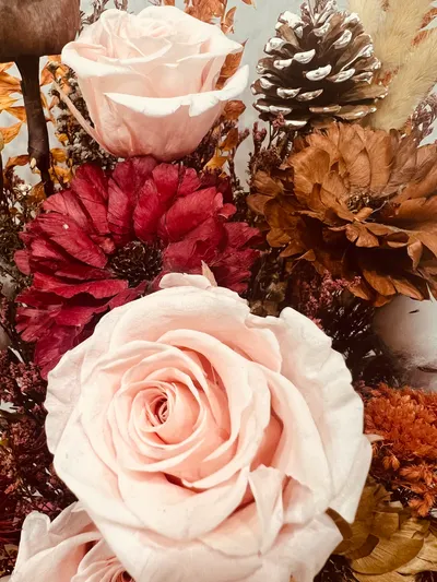 螞蟻女孩的沙龍