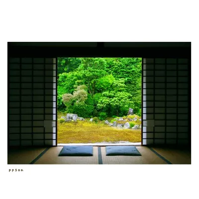 京都 | 芬陀院(雪舟寺) ① | 鶴亀の庭