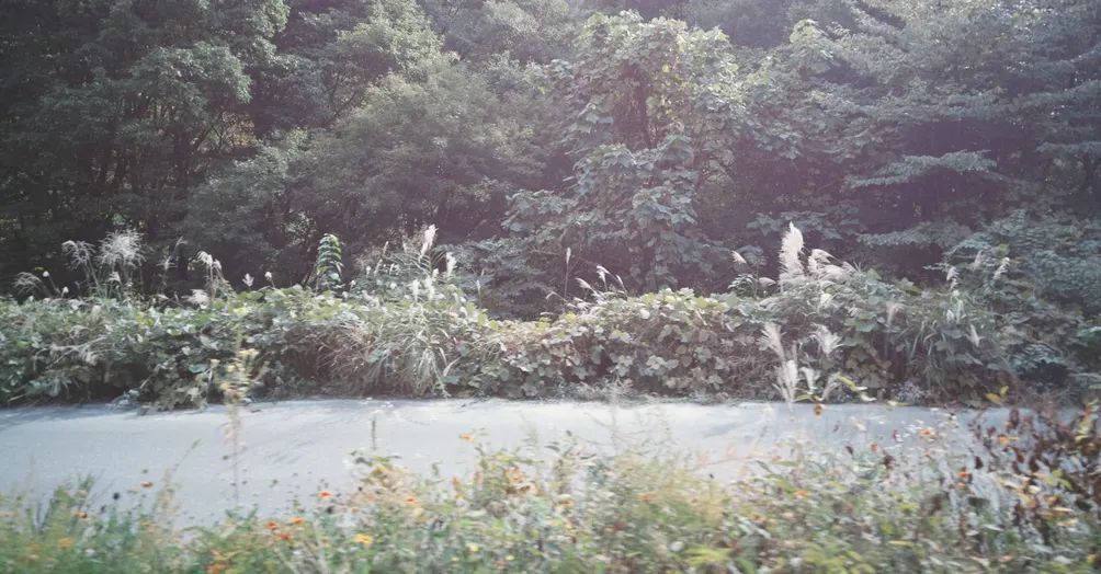 嘿，今天不神隱