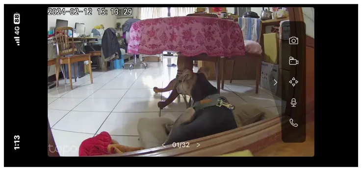 很容易抬頭起來看