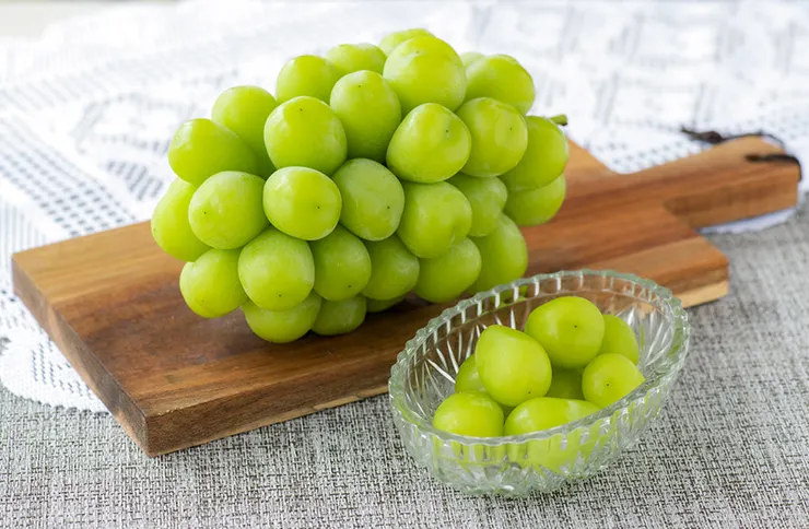 (圖片取自網路)