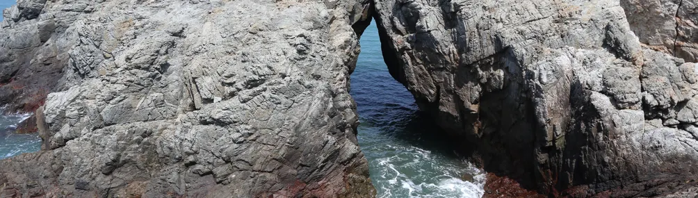 不在白犬依舊鄙人的沙龍