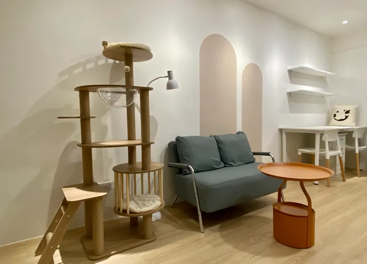 ▲ 《 Suki na room 》NO.6｜貓宅套房 302 室