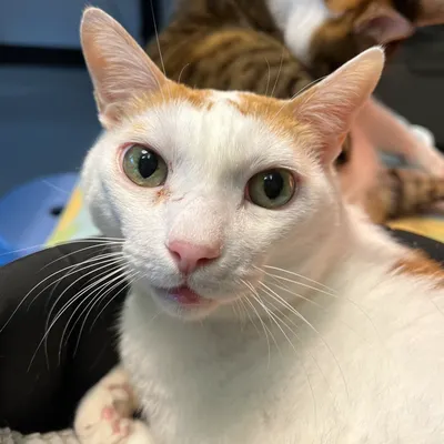 腎鬥士照護日記