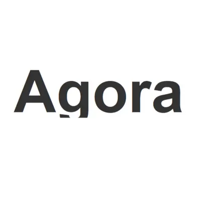 Agora 的沙龍