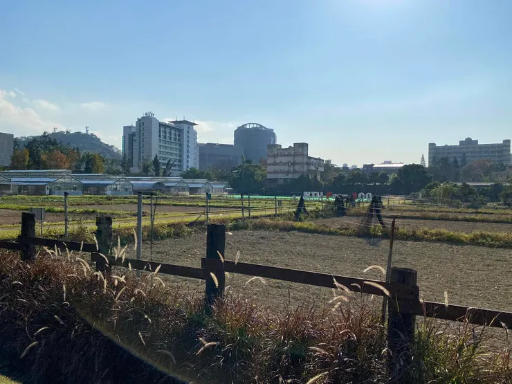 臺大農場