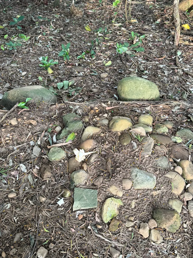 2026/04/11 圓圓睡覺的地方