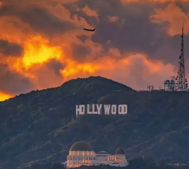 圖片來源: Google