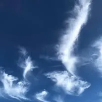 src