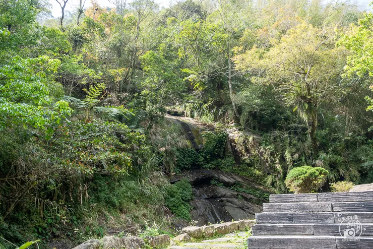 圓潭自然生態園區,圓潭生態園區,圓潭,嘉義景點,梅山景點,瑞里景點,嘉義,登山步道,戶外休閒,嘉義IG打卡