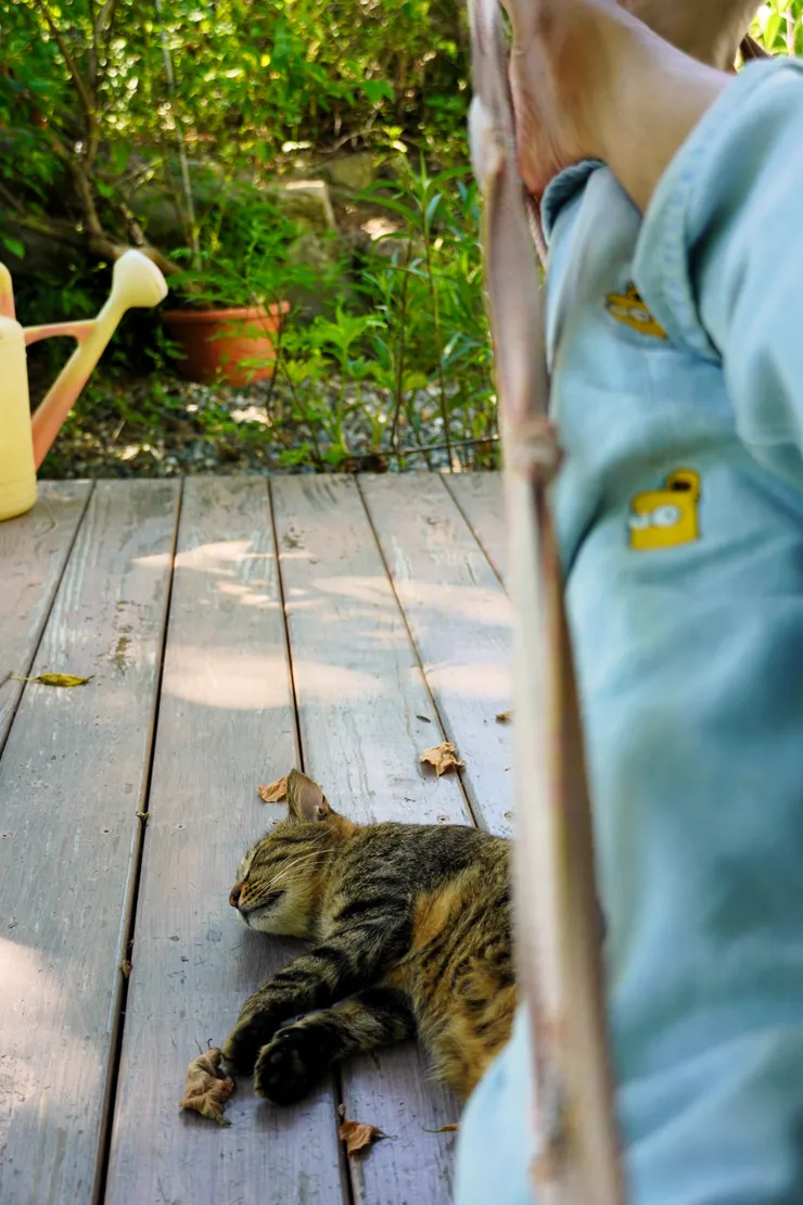 老闆的話要聽，吊床要躺。