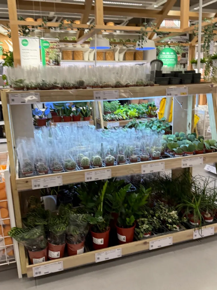 2025/11/09 早上逛 IKEA