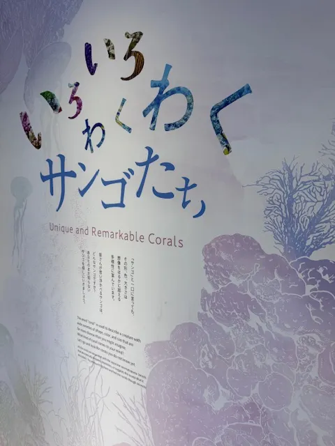 珊瑚展,photo by bookarchery