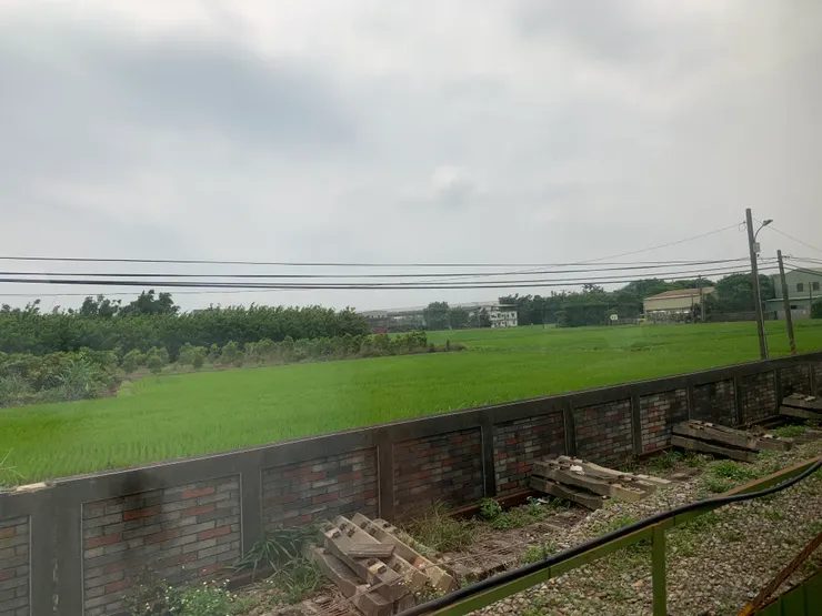 夢夢:心心妳看窗外~