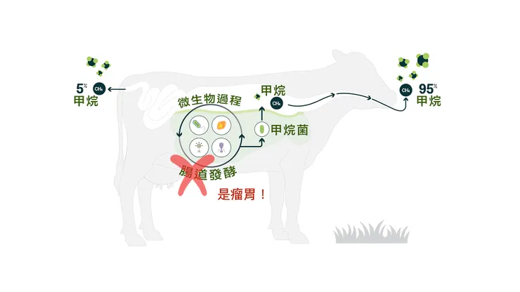難得找到一張不錯甲烷生成中文示意圖，但其實瘤胃才是生成甲烷的區域，不是腸道呀！