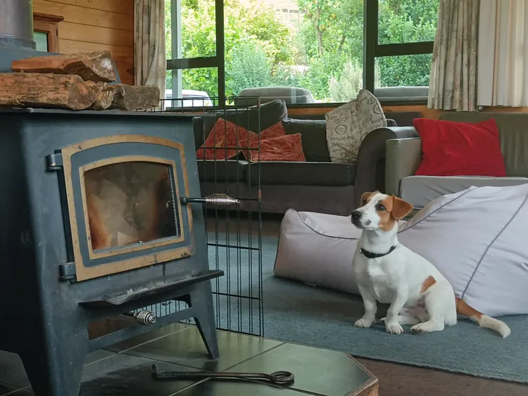 Ruakuri在毛利語是狗窩的意思,我們在Waitomo住的青年旅社中主人也養了一隻叫喬治的獵犬。