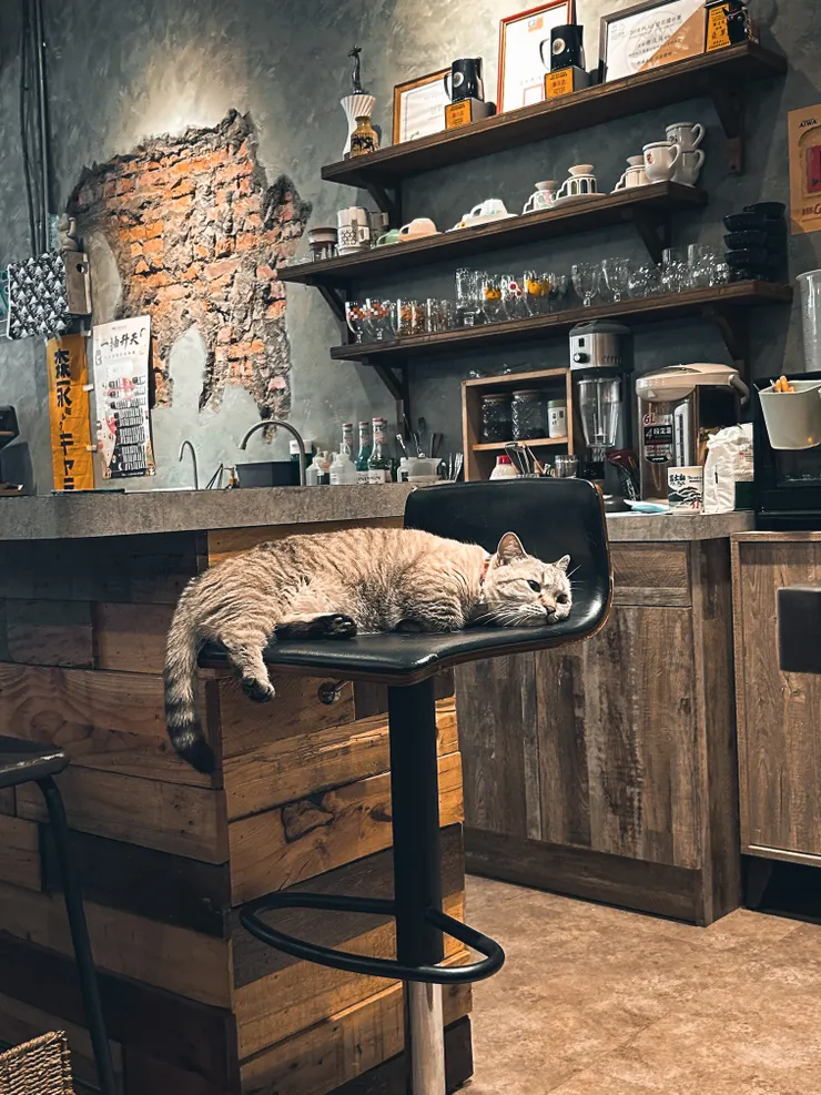 哈庫看起來很無聊