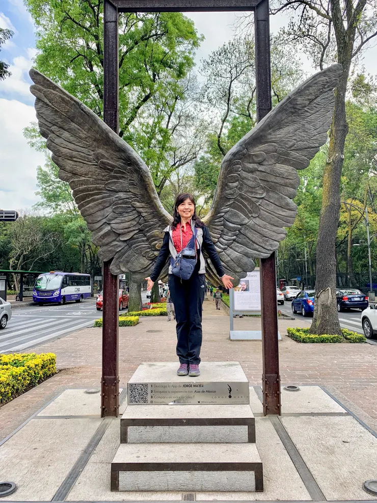 查普爾特佩克公園（Chapultepec Park）中的巨翅。