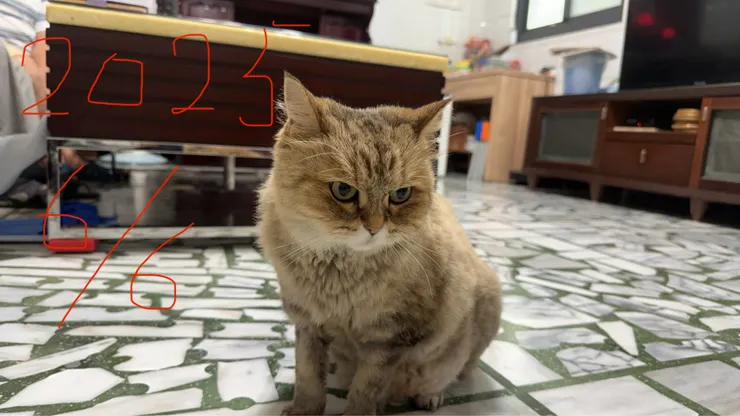 媽媽拍攝於 2025/6/6