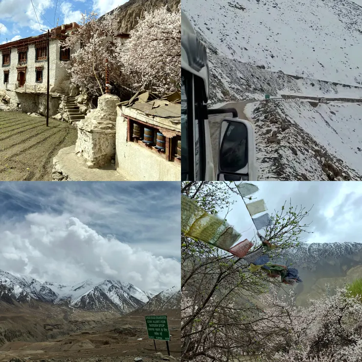 想把拉達克的四季收集進四格組圖裡，目前擁有冬與春