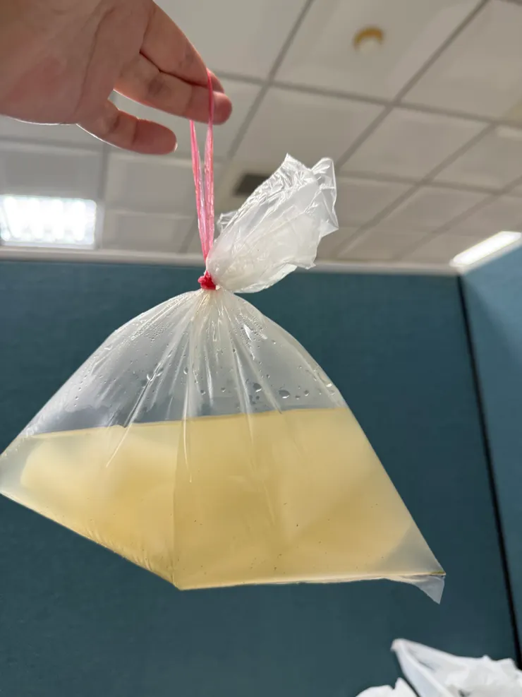 2026/02/05 菜頭湯