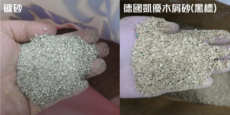 ↑木屑砂挑的是顆粒較細的款式，砂質與礦砂較相似，降低貓咪的排斥感。